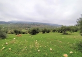 Chalet independiente con terreno en venta en la España, Alozaina, ref: TR136006 foto
