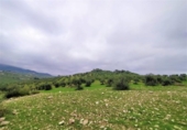 Chalet independiente con terreno en venta en la España, Alozaina, ref: TR136006 foto
