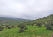 Chalet independiente con terreno en venta en la España, Alozaina, ref: TR136006 foto