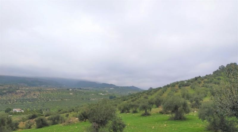 Málaga - Alozaina - 120000m2