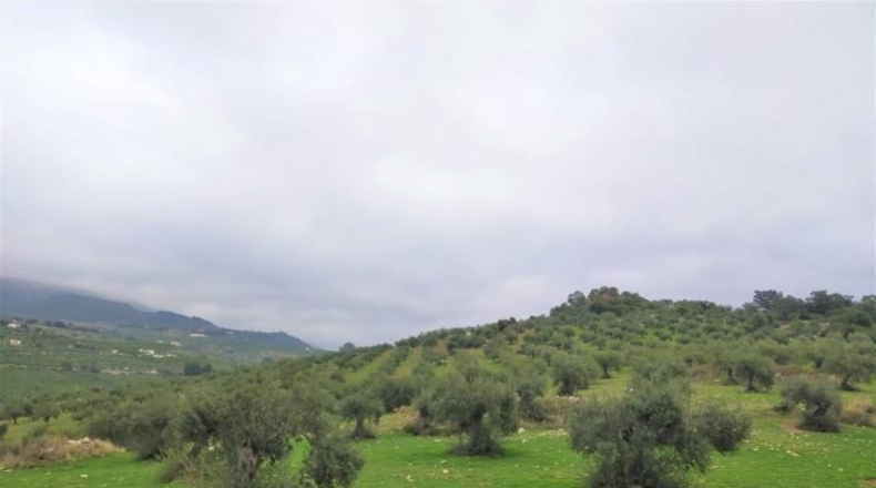 Málaga - Alozaina - 120000m2