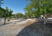 Terreno no urbanizable en venta en la España, Dílar, ref: TR116093 foto