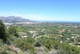 Foto 9