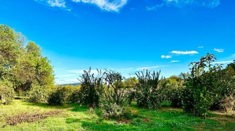Córdoba - Carcabuey - 3100m2