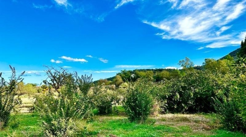 Córdoba - Carcabuey - 3100m2