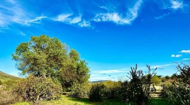 Córdoba - Carcabuey - 3100m2