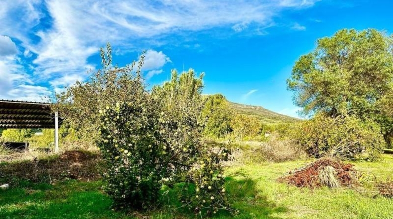 Córdoba - Carcabuey - 3100m2