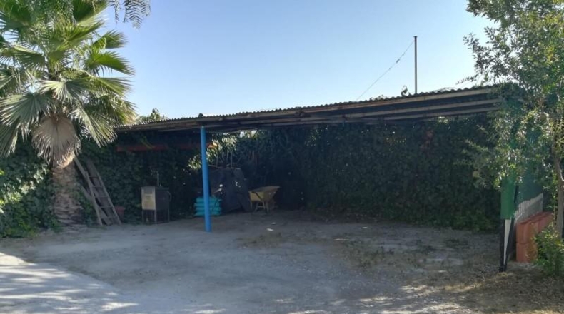 Granada - Padul - 5500m2