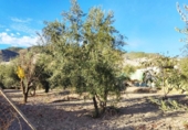 Parcela urbanizable en venta en la España, Padul, ref: TR401718 foto
