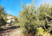 Parcela urbanizable en venta en la España, Padul, ref: TR401718 foto