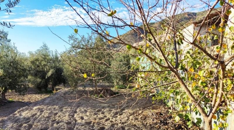 Granada - Padul - 5500m2