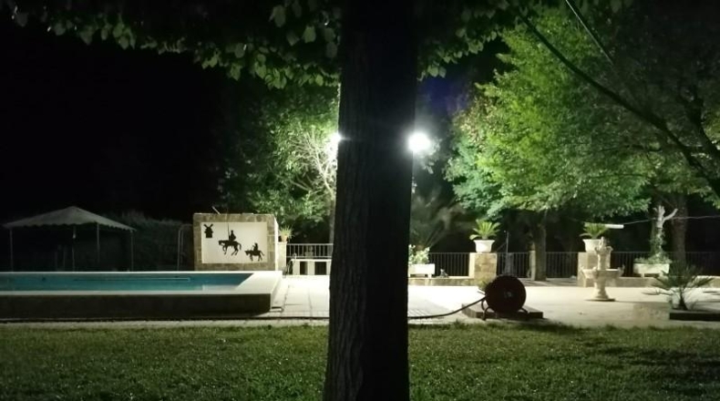 Ciudad Real - Brazatortas - 18200m2