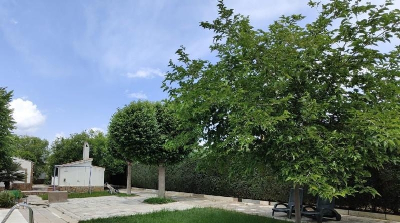 Ciudad Real - Brazatortas - 18200m2
