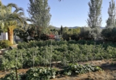 Xalet independent amb terreny en venda a la España, Brazatortas, ref.: TR411392 foto