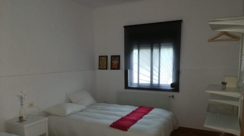 Ciudad Real - Brazatortas - 18200m2