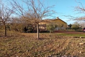 Carrión de Calatrava 12000&nbsp;m²