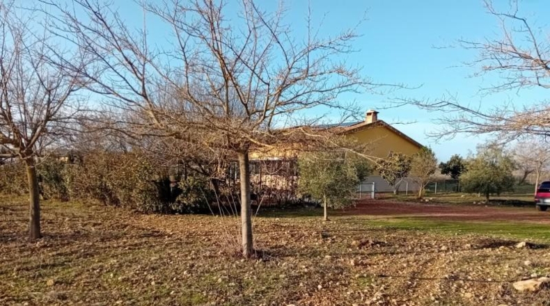 Ciudad Real - Carrión de Calatrava - 12000m2