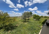 Chalet independiente con terreno en venta en la España, Carrión de Calatrava, ref: TR379833 foto