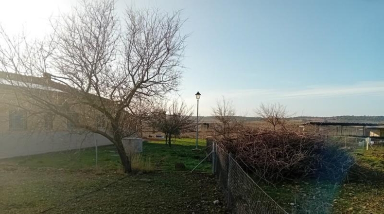Ciudad Real - Carrión de Calatrava - 12000m2