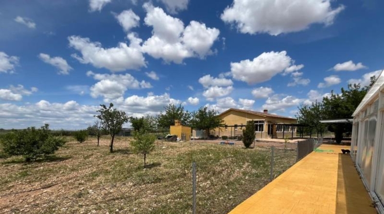 Ciudad Real - Carrión de Calatrava - 12000m2