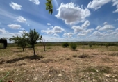 Chalet independiente con terreno en venta en la España, Carrión de Calatrava, ref: TR379833 foto