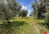 Chalet independiente con terreno en venta en la España, Carrión de Calatrava, ref: TR379833 foto