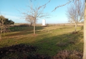 Chalet independiente con terreno en venta en la España, Carrión de Calatrava, ref: TR379833 foto