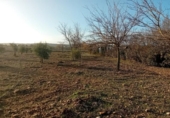 Chalet independiente con terreno en venta en la España, Carrión de Calatrava, ref: TR379833 foto