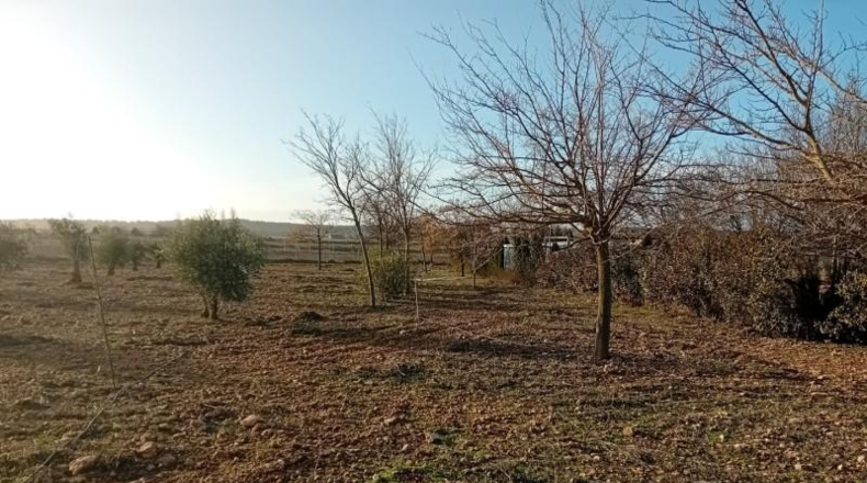 Ciudad Real - Carrión de Calatrava - 12000m2