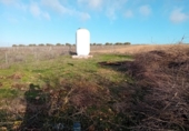 Chalet independiente con terreno en venta en la España, Carrión de Calatrava, ref: TR379833 foto