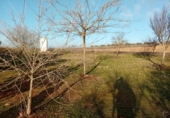Chalet independiente con terreno en venta en la España, Carrión de Calatrava, ref: TR379833 foto