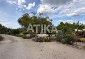 Chalet independiente con terreno en venta en la España, Ontinyent, ref: TR411396 foto