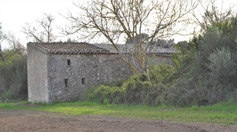 Balearic Islands - Muro - 22239m2