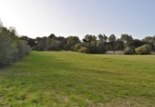 Detached villa with land for sale on España, Muro, ref: TR245233 photo
