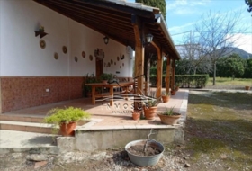 Foto 19