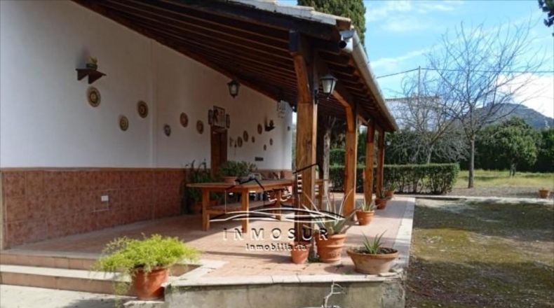 Córdoba - Lucena - 5000m2