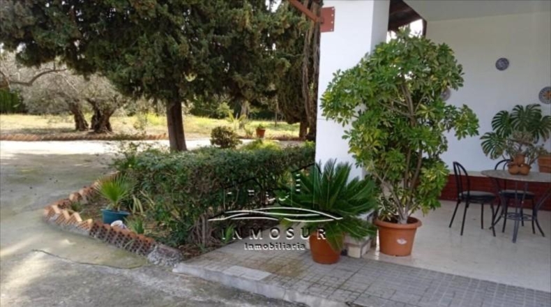 Córdoba - Lucena - 5000m2