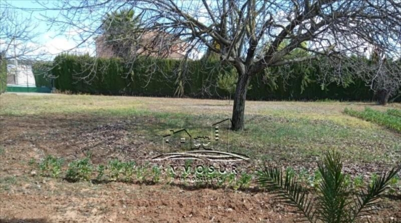 Córdoba - Lucena - 5000m2