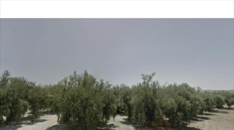 Córdoba - Lucena - 39000m2