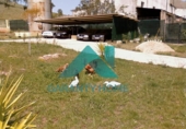 Casa con terreno en venta en la España, Cáceres, ref: TR283578 foto