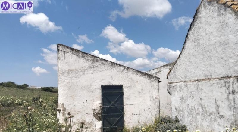 Cádiz - Medina Sidonia - 30000m2