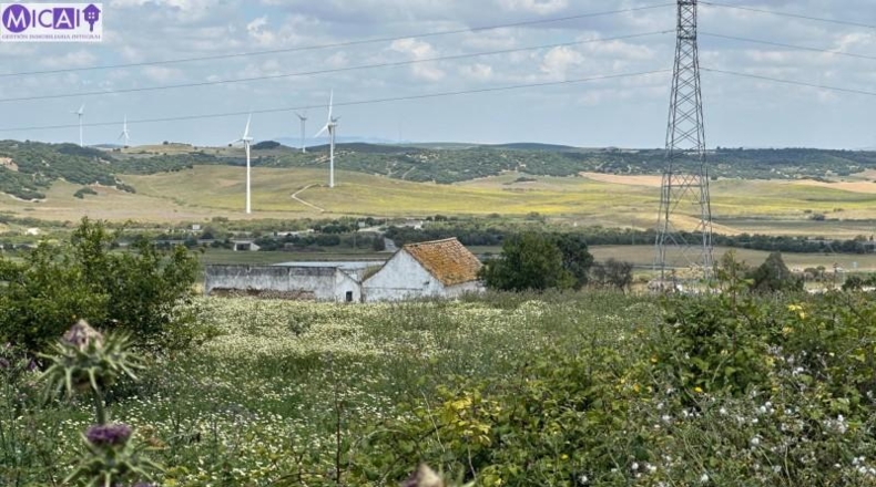 Cádiz - Medina Sidonia - 30000m2