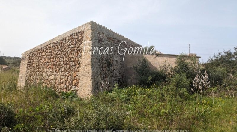 Balearic Islands - Torret - 84000m2