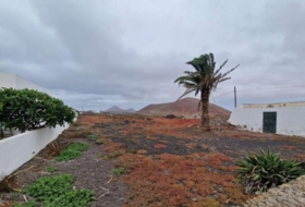 Teguise 4277&nbsp;m²