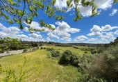 Suelo urbano en venta en la España, Algaida, ref: TR245454 foto