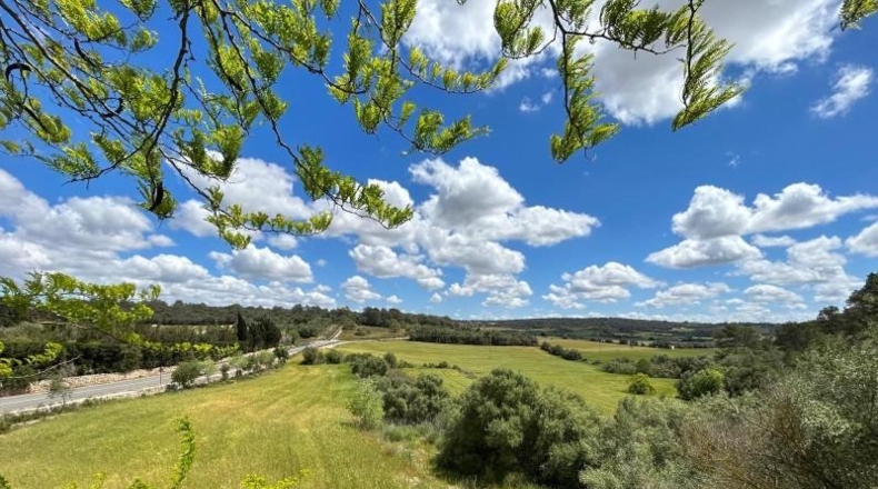 Balearic Islands - Algaida - 270m2