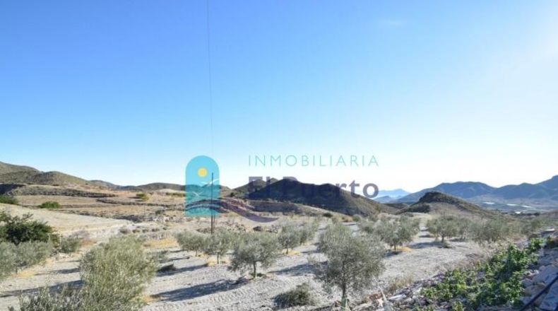 Murcia - Lorca - 58000m2
