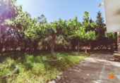 Chalet independiente con terreno en venta en la España, Roquetes, ref: TR412777 foto