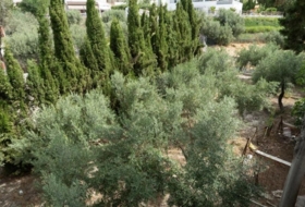 Jaén 2298&nbsp;m²