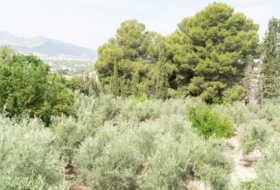 Jaén 2298&nbsp;m²
